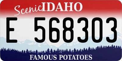ID license plate E568303