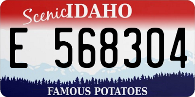 ID license plate E568304