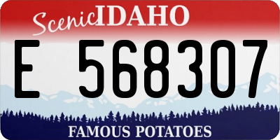 ID license plate E568307