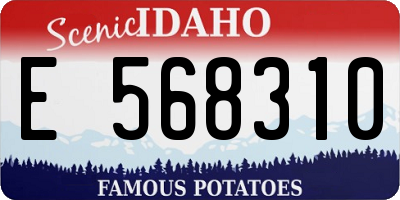 ID license plate E568310