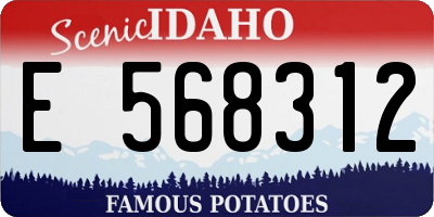 ID license plate E568312