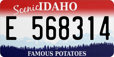 ID license plate E568314