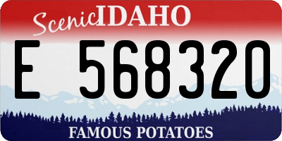ID license plate E568320