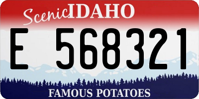 ID license plate E568321