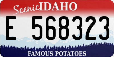 ID license plate E568323