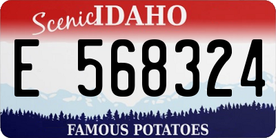 ID license plate E568324