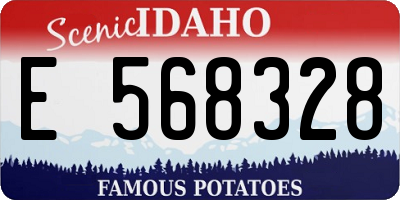 ID license plate E568328