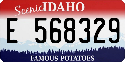 ID license plate E568329