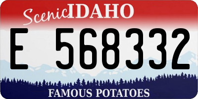 ID license plate E568332