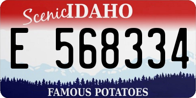 ID license plate E568334