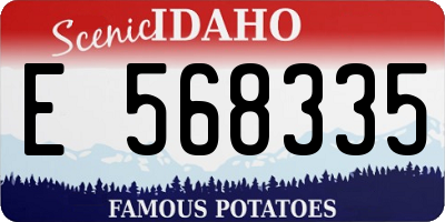 ID license plate E568335