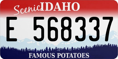 ID license plate E568337