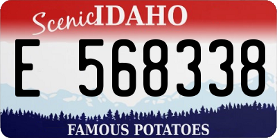ID license plate E568338