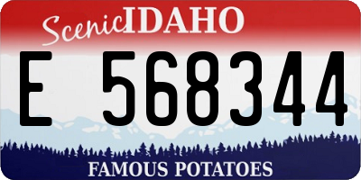 ID license plate E568344
