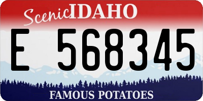 ID license plate E568345