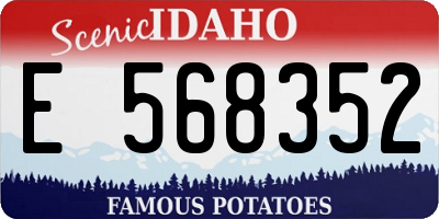 ID license plate E568352