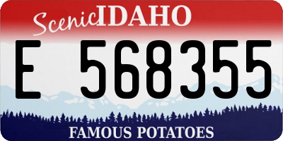ID license plate E568355