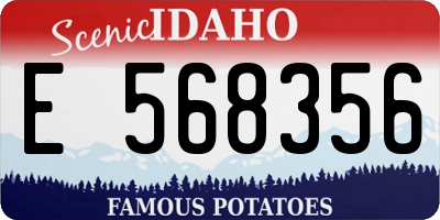 ID license plate E568356