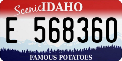 ID license plate E568360