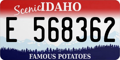 ID license plate E568362