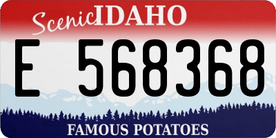 ID license plate E568368