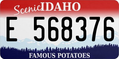 ID license plate E568376