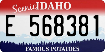 ID license plate E568381