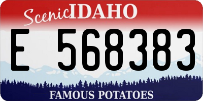 ID license plate E568383