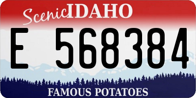 ID license plate E568384