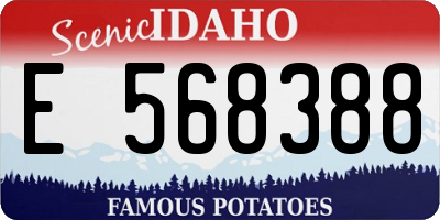 ID license plate E568388