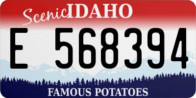 ID license plate E568394