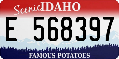 ID license plate E568397
