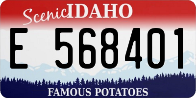 ID license plate E568401