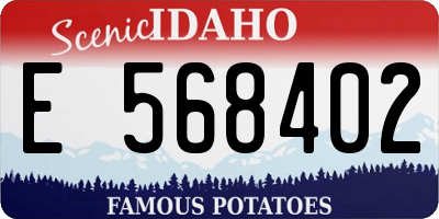 ID license plate E568402
