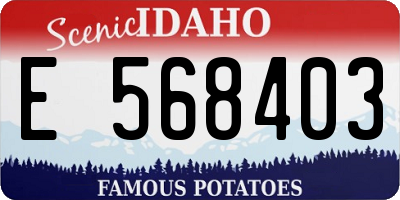 ID license plate E568403
