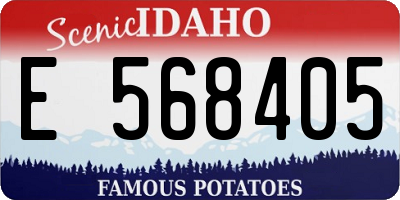 ID license plate E568405