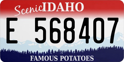 ID license plate E568407