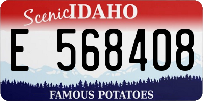 ID license plate E568408