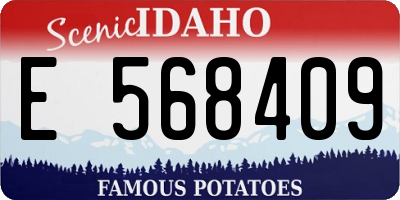 ID license plate E568409