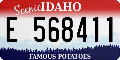 ID license plate E568411