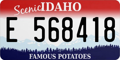ID license plate E568418