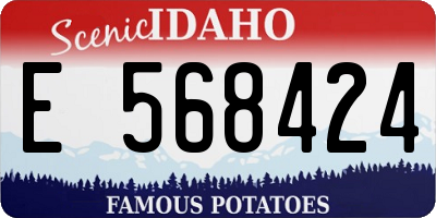 ID license plate E568424