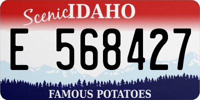 ID license plate E568427