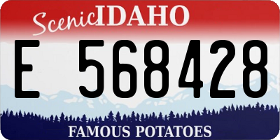 ID license plate E568428