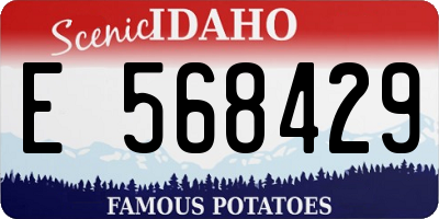 ID license plate E568429