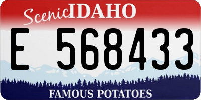 ID license plate E568433