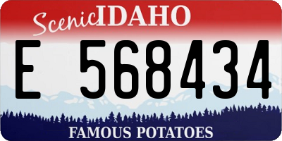 ID license plate E568434