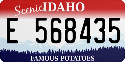 ID license plate E568435