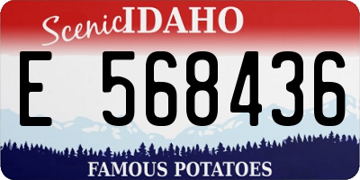 ID license plate E568436