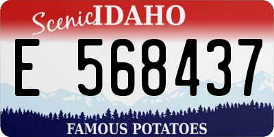 ID license plate E568437